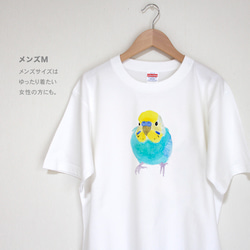 p-jet　セキセイインコ（レインボー）  Tシャツ　 / 鳥 インコ 6枚目の画像