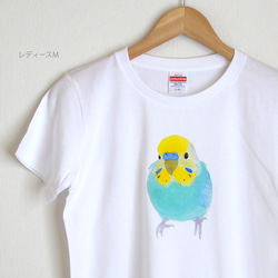 p-jet　セキセイインコ（レインボー）  Tシャツ　 / 鳥 インコ 1枚目の画像