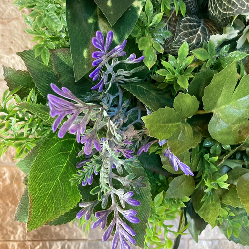 光触媒　人工観葉植物　ウォールグリーン　フェイク　フラワー303040 Amazon.co.jp: 光触媒 人工観葉植物 ウォールグリーン フェイク