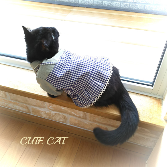 猫服【完成品＆オーダー】キャミソールワンピ＊チェック 7枚目の画像