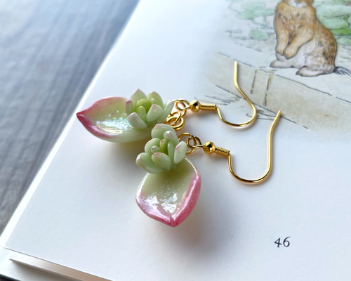 多肉植物寄せ植えピアス | 1点物 - gondoa-net