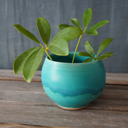青緑の陶器製植木鉢　イタリア製 青緑色の陶器鉢 多肉植物*10 青緑色の陶器鉢 多肉植物