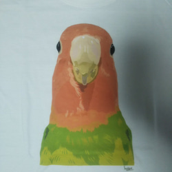 【ご予約受付中】「コザクラインコ（タイガーチェリー）」Tシャツ  【 サイズ×カラーを選べるオーダーメイド Tシャツ】 2枚目の画像