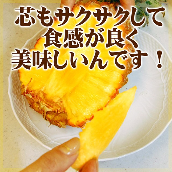 パイナップル スナックパイン L〔1kg以上〕×2玉 沖縄県産 ボゴール パイン お取り寄せ トロピカル フルーツ 果物 5枚目の画像