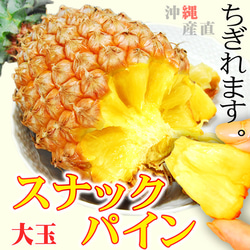 パイナップル スナックパイン L〔1kg以上〕×2玉 沖縄県産 ボゴール パイン お取り寄せ トロピカル フルーツ 果物 1枚目の画像