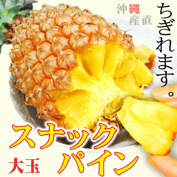 パイナップル スナックパイン L〔1kg以上〕×2玉 沖縄県産