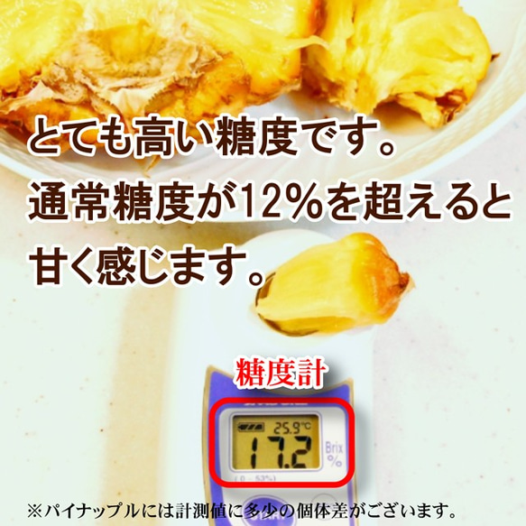 パイナップル スナックパイン L〔1kg以上〕×2玉 沖縄県産 ボゴール パイン お取り寄せ トロピカル フルーツ 果物 4枚目の画像