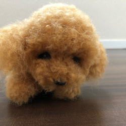 おとママ羊毛フェルト レッドトイプードル 伏せのポーズ 羊毛フェルト