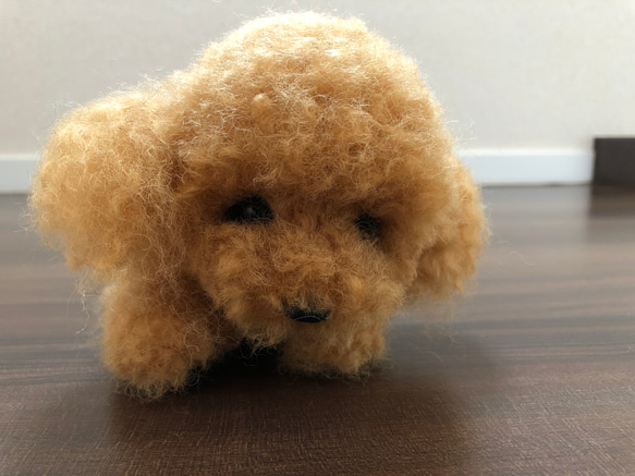 おとママ羊毛フェルト レッドトイプードル 伏せのポーズ 羊毛