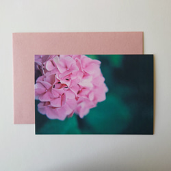 紫陽花①　グリーティングカード　ポストカード　写真　文字入れサービス有り 1枚目の画像