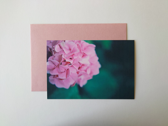 紫陽花①　グリーティングカード　ポストカード　写真　文字入れサービス有り 1枚目の画像