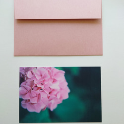 紫陽花①　グリーティングカード　ポストカード　写真　文字入れサービス有り 4枚目の画像