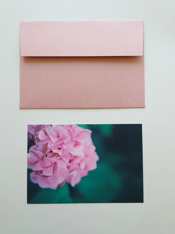 紫陽花①　グリーティングカード　ポストカード　写真　文字入れサービス有り 4枚目の画像