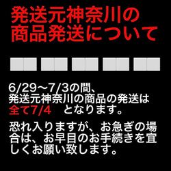 竹林に蛍柄　半幅帯リバ長尺 2枚目の画像