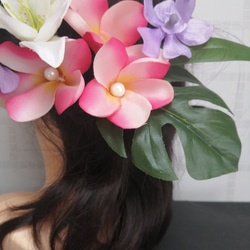 熱帶花卉 Hair Ornament Plumeria Anthrum Mokara Monstera 第5張的照片