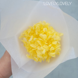 再販黒金水引結び白ダリア赤扇ミニ金俵しめ縄 正月 正月飾り 正月