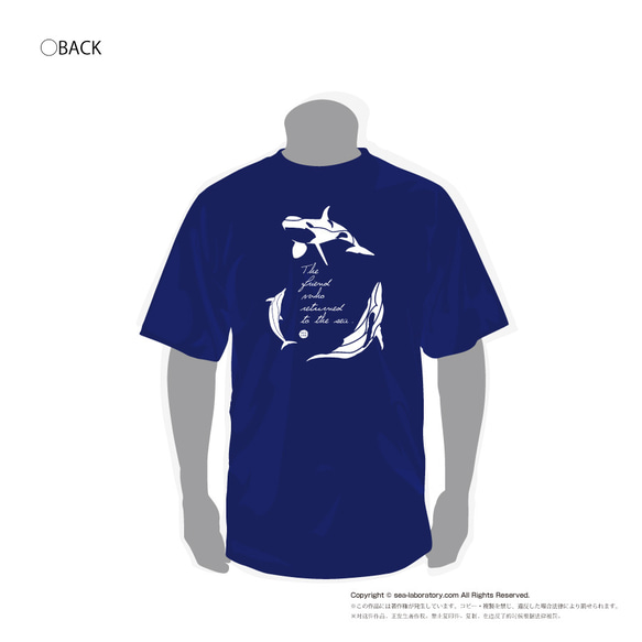 2022夏！Tシャツ【ザトウクジラ＆イルカ＆シャチ】パターン（メンズ） 1枚目の画像