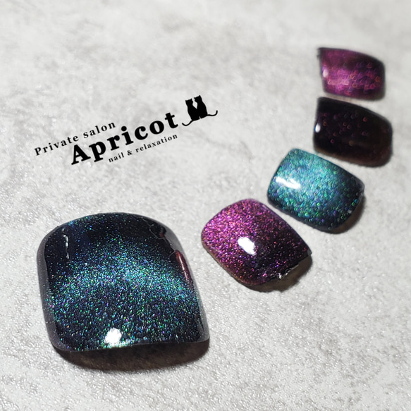 bird_nailフットネイルチップ★親指★ジェルチップ★