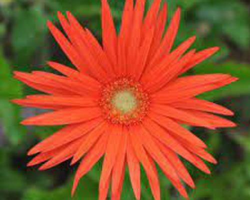 2fc9a128241cecf04020751c3b616b