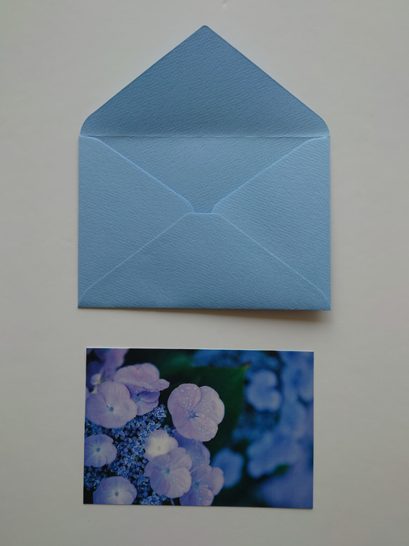 紫陽花②　グリーティングカード　ポストカード　写真　バースデー　誕生日　文字入れサービス有り 5枚目の画像
