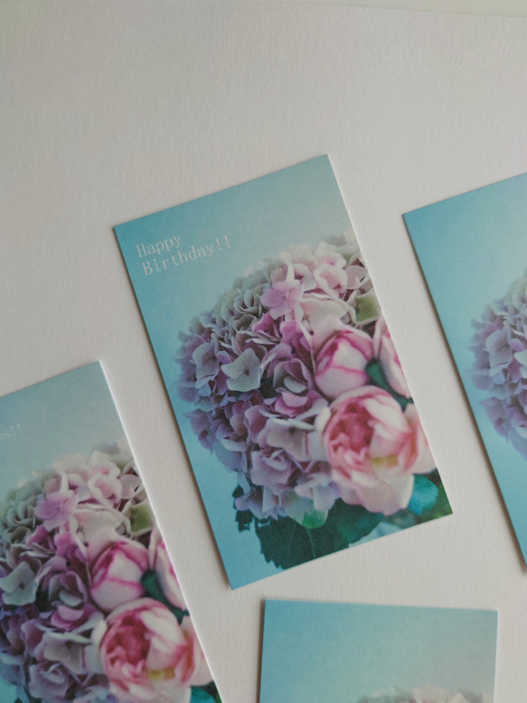 花束　メッセージカード　20枚入　バースデーカード　ミニカード　ショップカード　紫陽花　ラナンキュラス 1枚目の画像