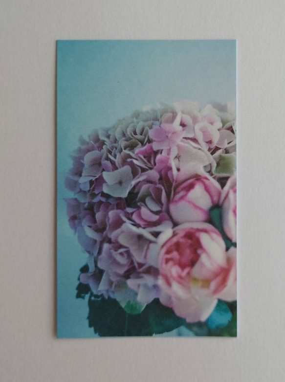 花束　メッセージカード　20枚入　バースデーカード　ミニカード　ショップカード　紫陽花　ラナンキュラス 4枚目の画像