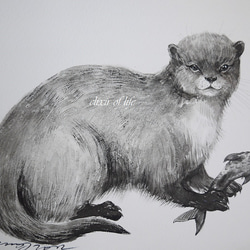 34b966ccdca2841df4183a6b8f463a