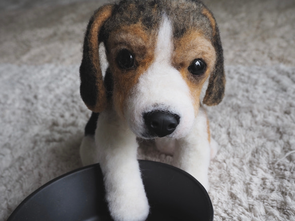 ビーグルの子犬＊＊羊毛フェルト 3枚目の画像