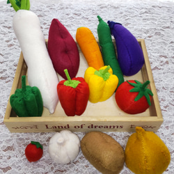 フェルト野菜☆色んな色♪ フェルト野菜☆色んな色♪