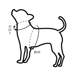 【今なら即納可◎】和裁のプロが仕立てた『渋くてかわいい』！わんちゃん用ハッピ（お祭り柄）　犬　和服　ゆかた 9枚目の画像