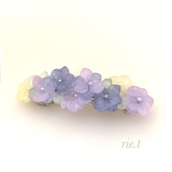 【rie.t】本物の紫陽花 2枚目の画像