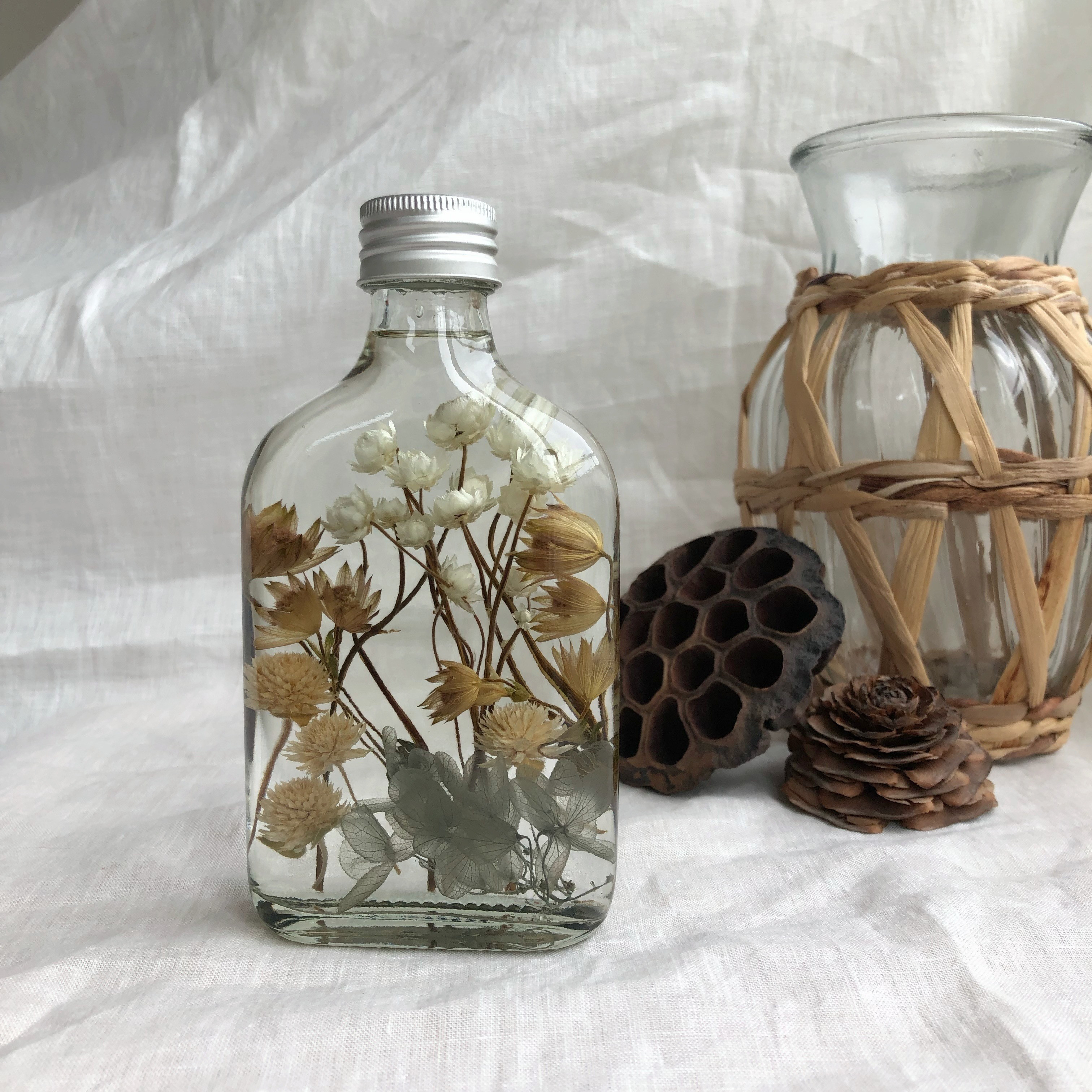 ミニ 標本 植物標本 アンティーク ハーバリュウム ガラスドーム errer