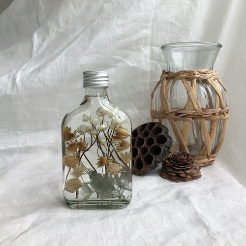 errer ガラスドーム 標本 ハーバリュウム ミニ 植物標本 アンティーク errer ガラスドーム 標本 ハーバリュウム ミニ 植物標本 アンティーク