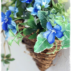【夏リース】ブルーのお花で涼やかな壁面バスケットアレンジ。「Creema限定」 4枚目の画像