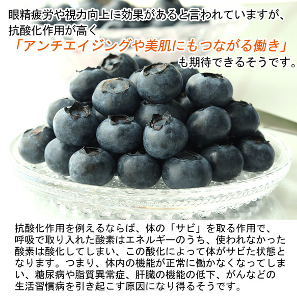 ブルーベリー 大粒 約1kg（約500g×2Pacs） 無農薬 自然栽培 生 栃木県産 お中元 ギフト 贈答 プレゼント 8枚目の画像