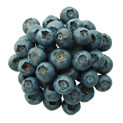 ブルーベリー 大粒 約1kg（約500g×2Pacs） 無農薬 自然栽培 生