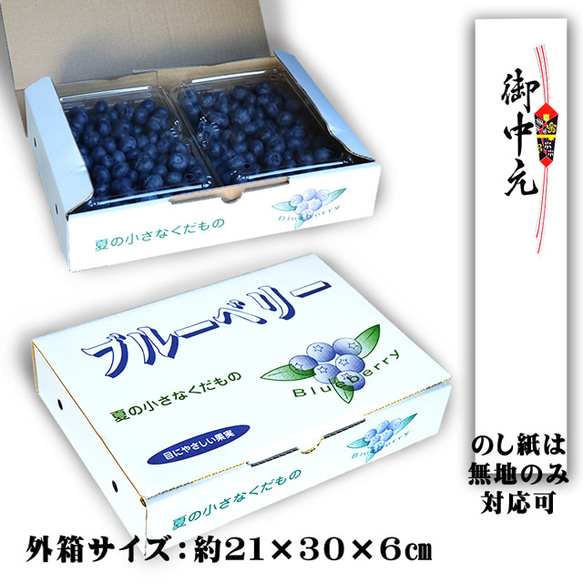 ブルーベリー 大粒 約1kg（約500g×2Pacs） 無農薬 自然栽培 生 栃木県産 お中元 ギフト 贈答 プレゼント 7枚目の画像