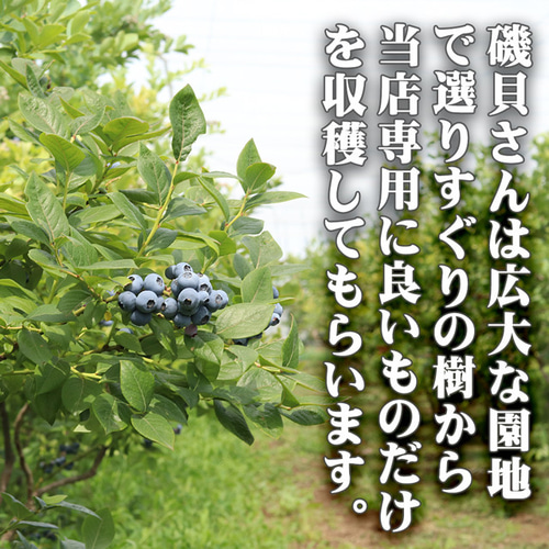 ブルーベリー 大粒 約1kg（約500g×2Pacs） 無農薬 自然栽培 生