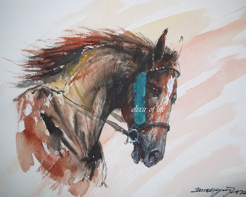 e99aedba209ee5eefc9669a89f95a7