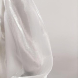 米白色上衣長袖包扣透明薄紗新娘/伴娘/婚禮 第9張的照片