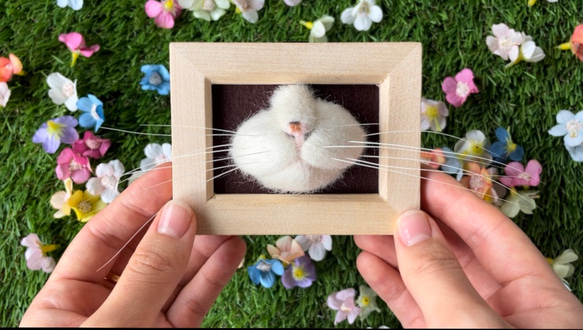 【オーダーメイド】可愛く猫ひげ保存アイテム 5枚目の画像