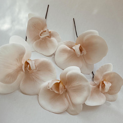 ca7f930601730d188f1a83f3c1abe4