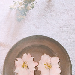 すっぴん桜      ～千鳥草を桜に見立てて　イヤリングで～ 6枚目の画像