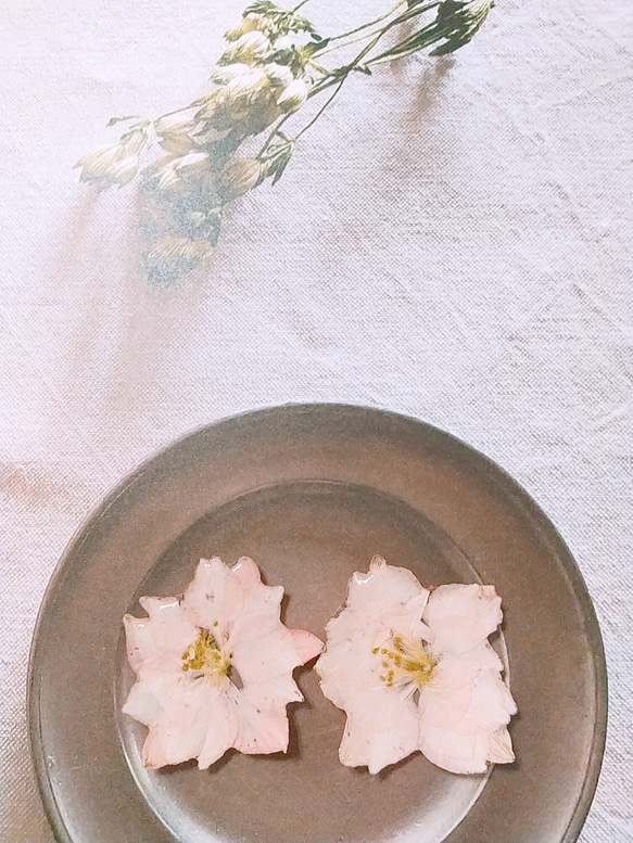 すっぴん桜      ～千鳥草を桜に見立てて　イヤリングで～ 6枚目の画像