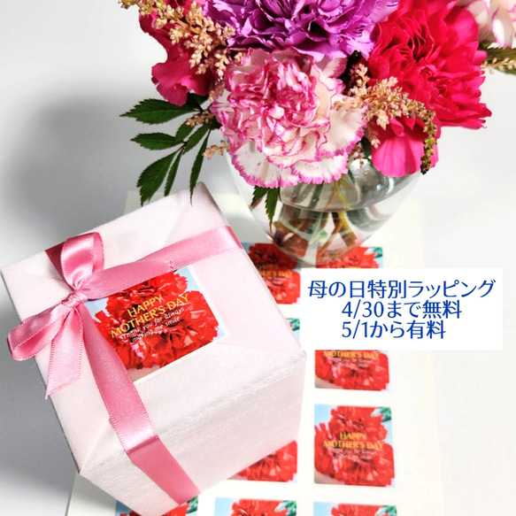 【母の日用予約販売】真っ赤なカーネーション『母への愛』マグ♡オプション文字入れ可能♡母の日特別ラッピング(有料) 3枚目の画像