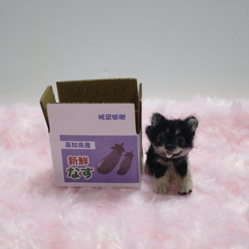 羊毛フェルト 犬 柴犬 豆柴 黒柴 子犬 ミニチュアドールハウス