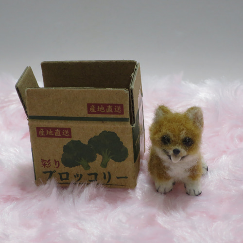 羊毛フェルト 犬 柴犬 豆柴 赤柴 子犬 ミニチュアドールハウス  