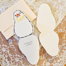 MINI CARD - 白色 Java Sparrow 2PC SET- 第4張的照片