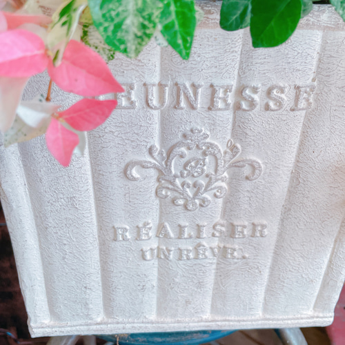 現品のみ！大きめ【初雪カズラ】おしゃれなナチュラル陶器入り♡ 白