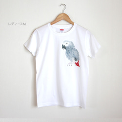 p-jet　ヨウム  Tシャツ　 / 鳥 インコ オウム 2枚目の画像